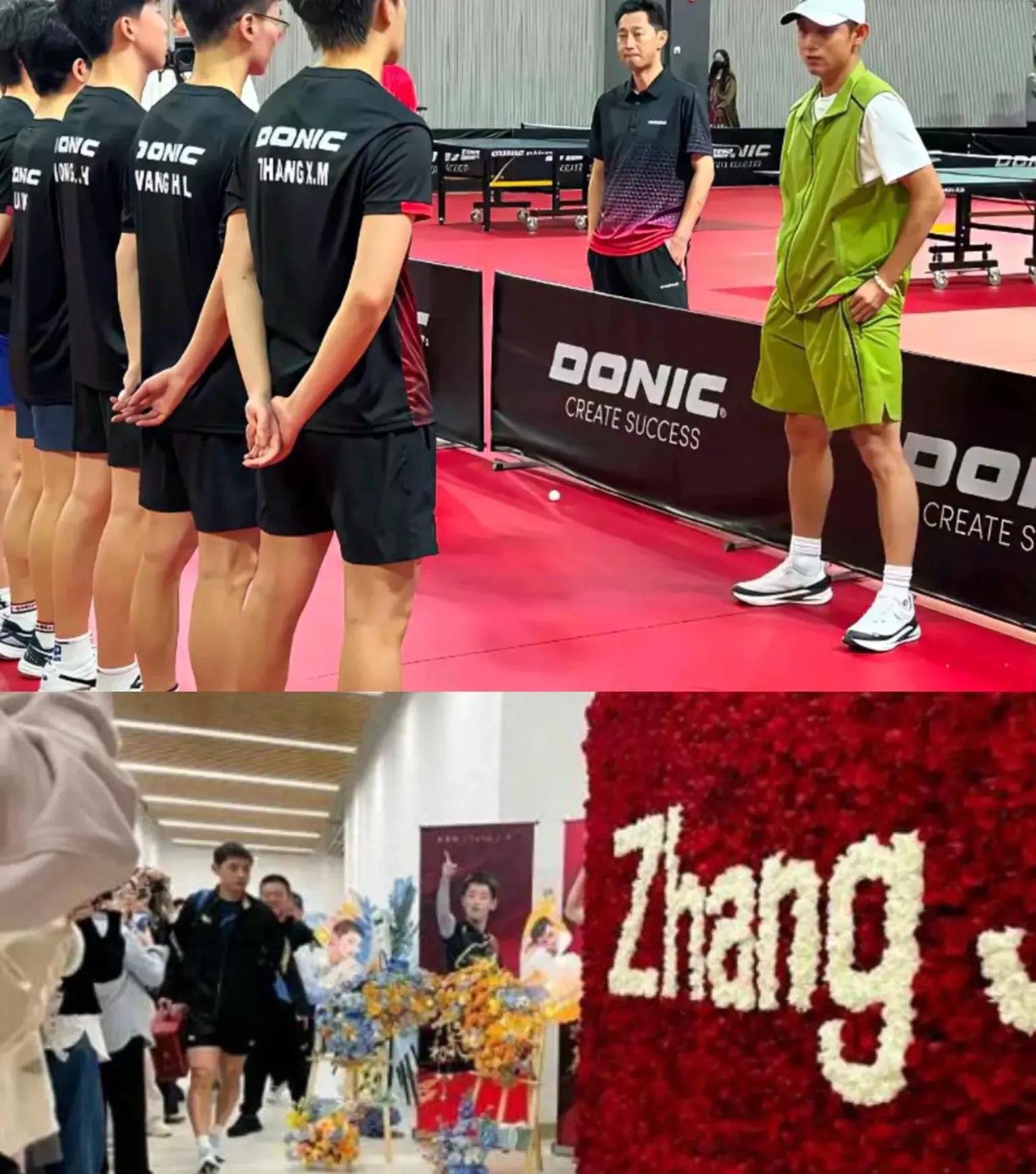 比利时乒乓球队血洗瑞典乒乓球队，张继科制霸全场