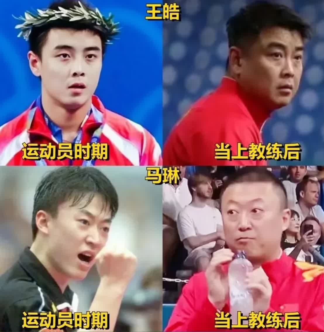 关于法国乒乓球队强势中国乒乓球队，王皓制霸全场的信息