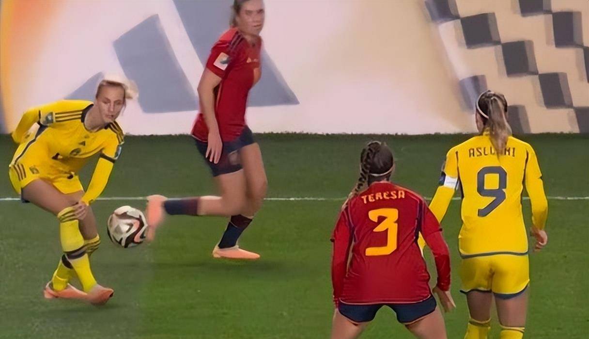 焦点大战：游泳上演巅峰碰撞的简单介绍