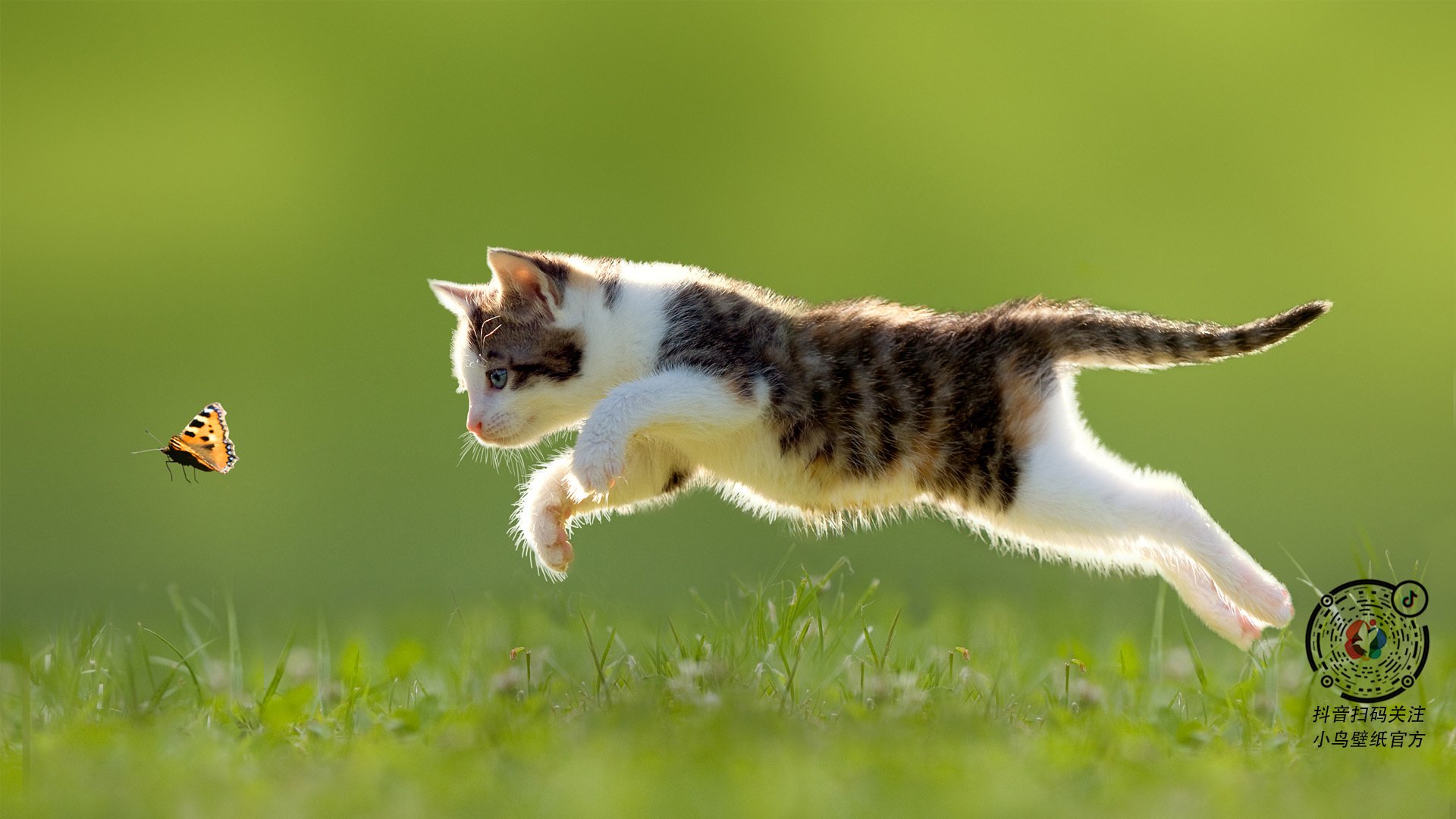 网球的黄昏,纳达尔的火焰,一场关于唯一性的终极书写