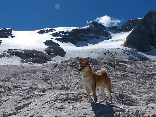 跨界对决唯一性，当深圳男篮遇见勇士，霍勒迪的东方时刻