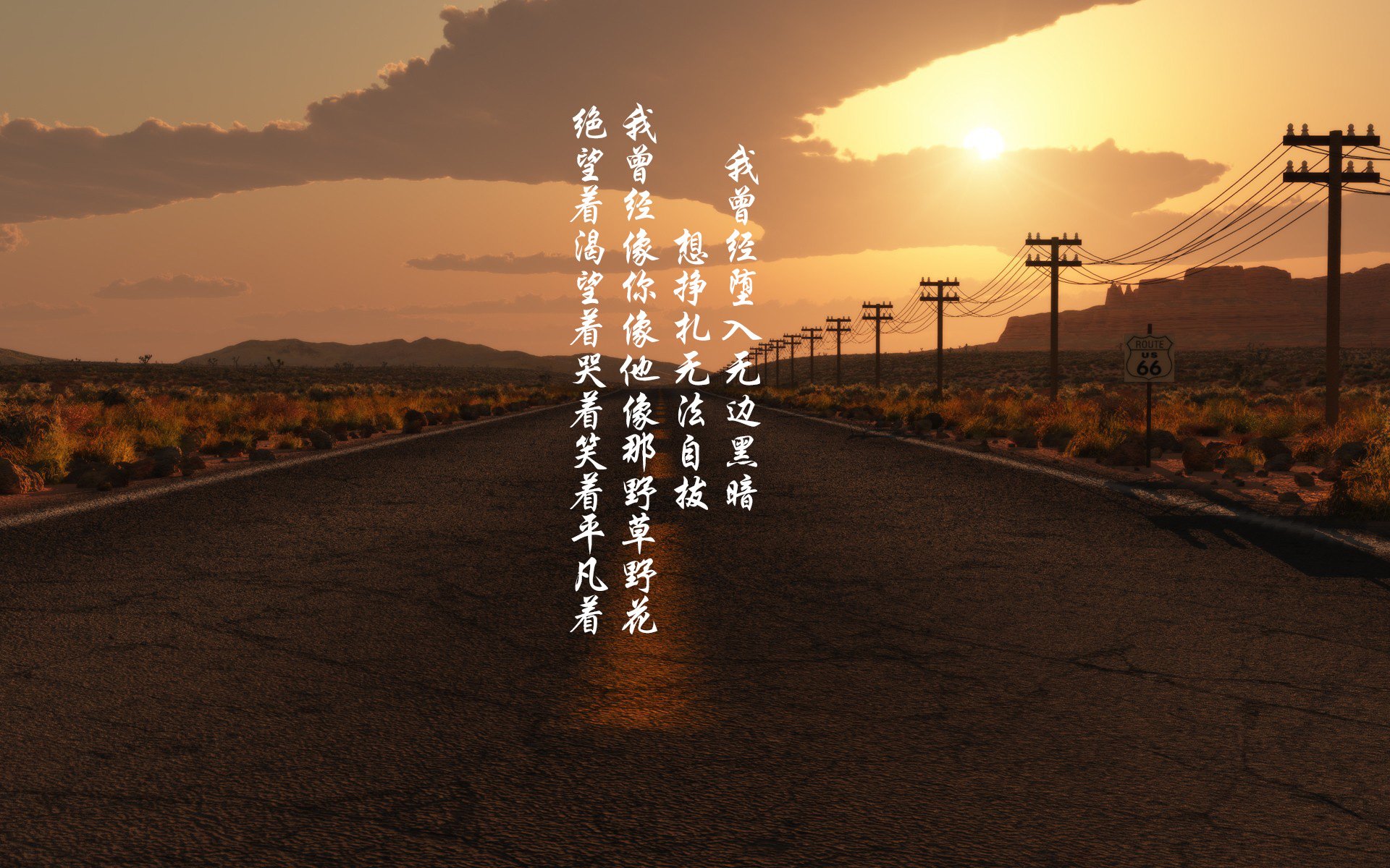 武切维奇狂轰30+20主宰内线，森林狼主场完胜猛龙无悬念