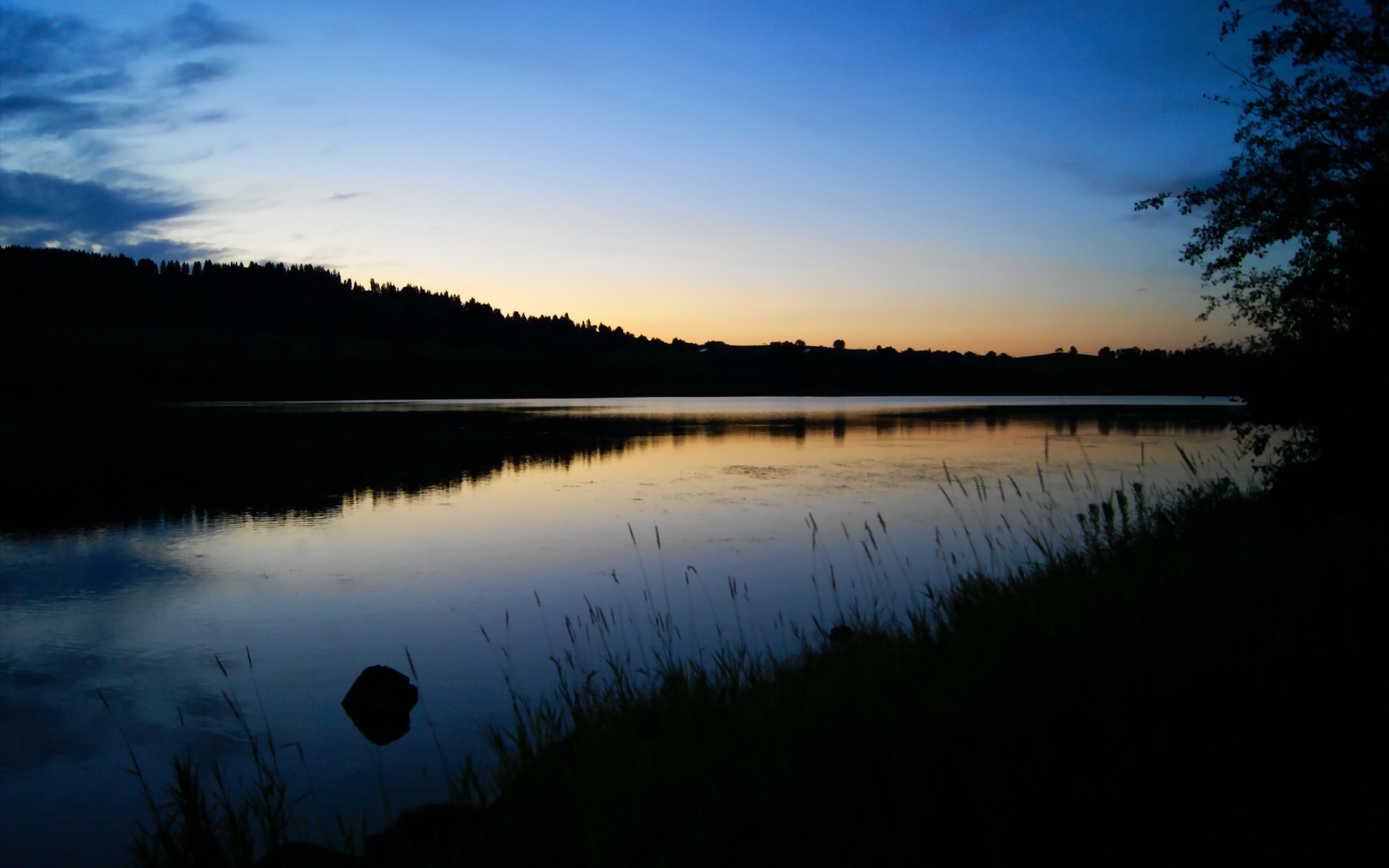 从沙特速胜到欧冠半决赛，特奥的王者之路如何重塑AC米兰