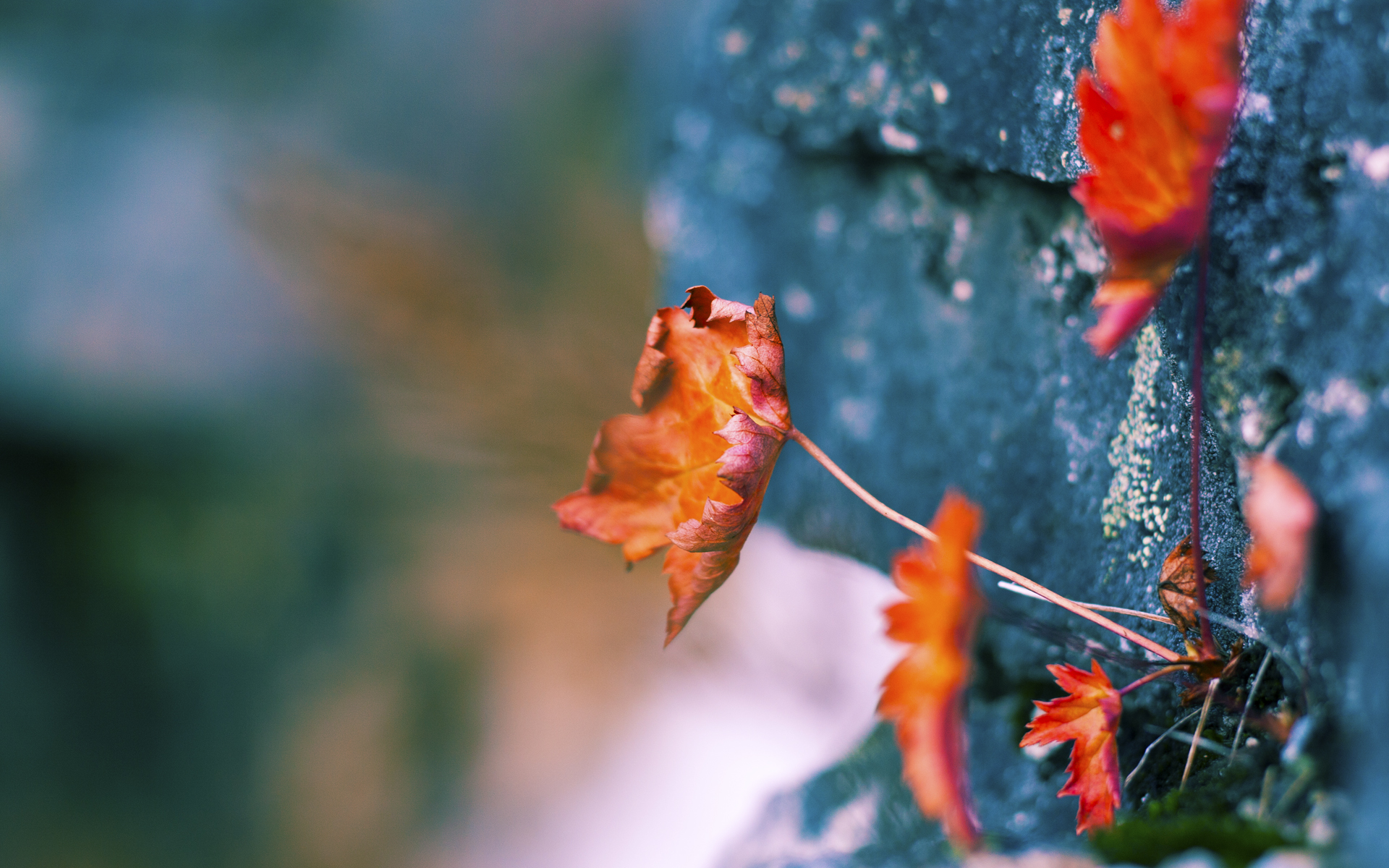 一记低射刺穿历史,奥利维耶让可能在第23分钟终结