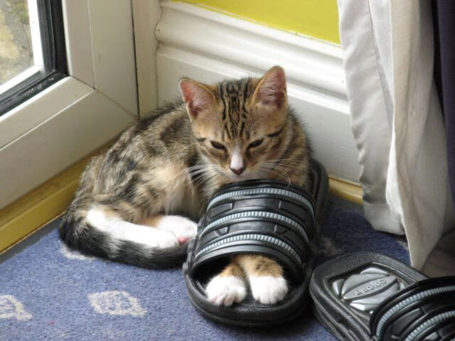 一记低射刺穿历史,奥利维耶让可能在第23分钟终结