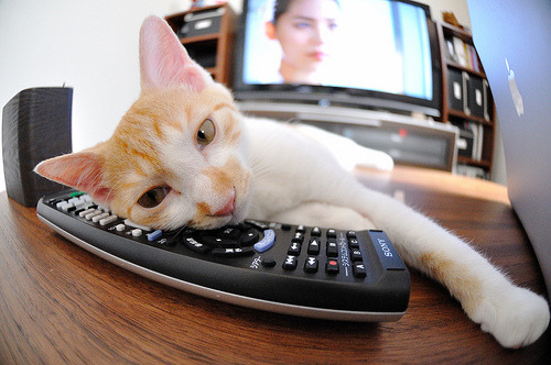 今夜，只有他配得上舞台，西决生死战，霍勒迪的冷锋与风暴