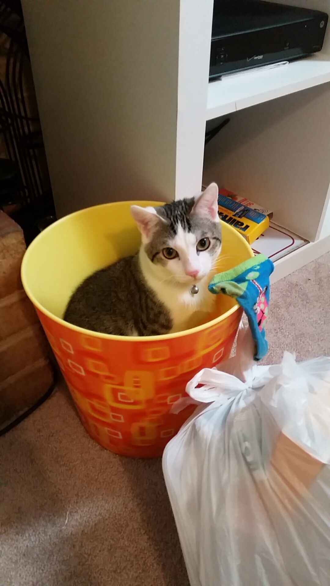 死神，今夜再度挥镰