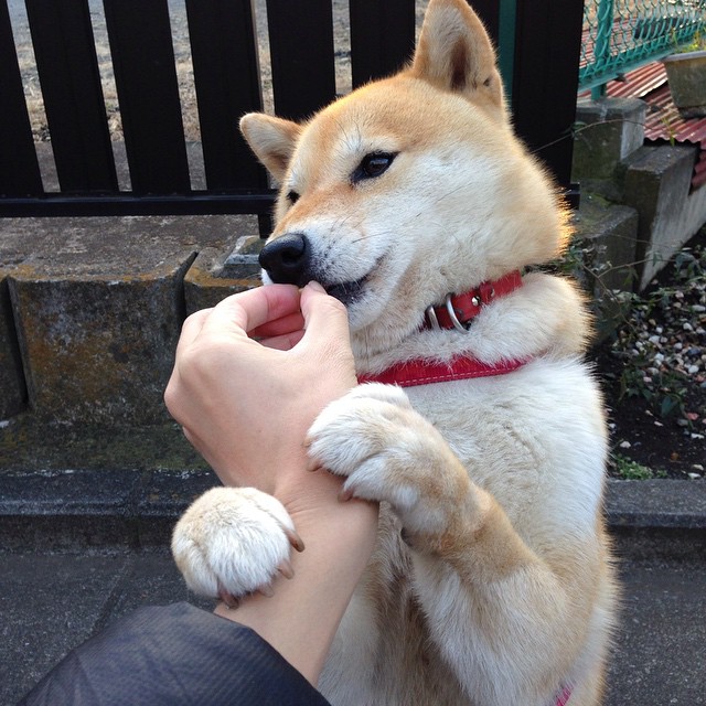 死神，今夜再度挥镰