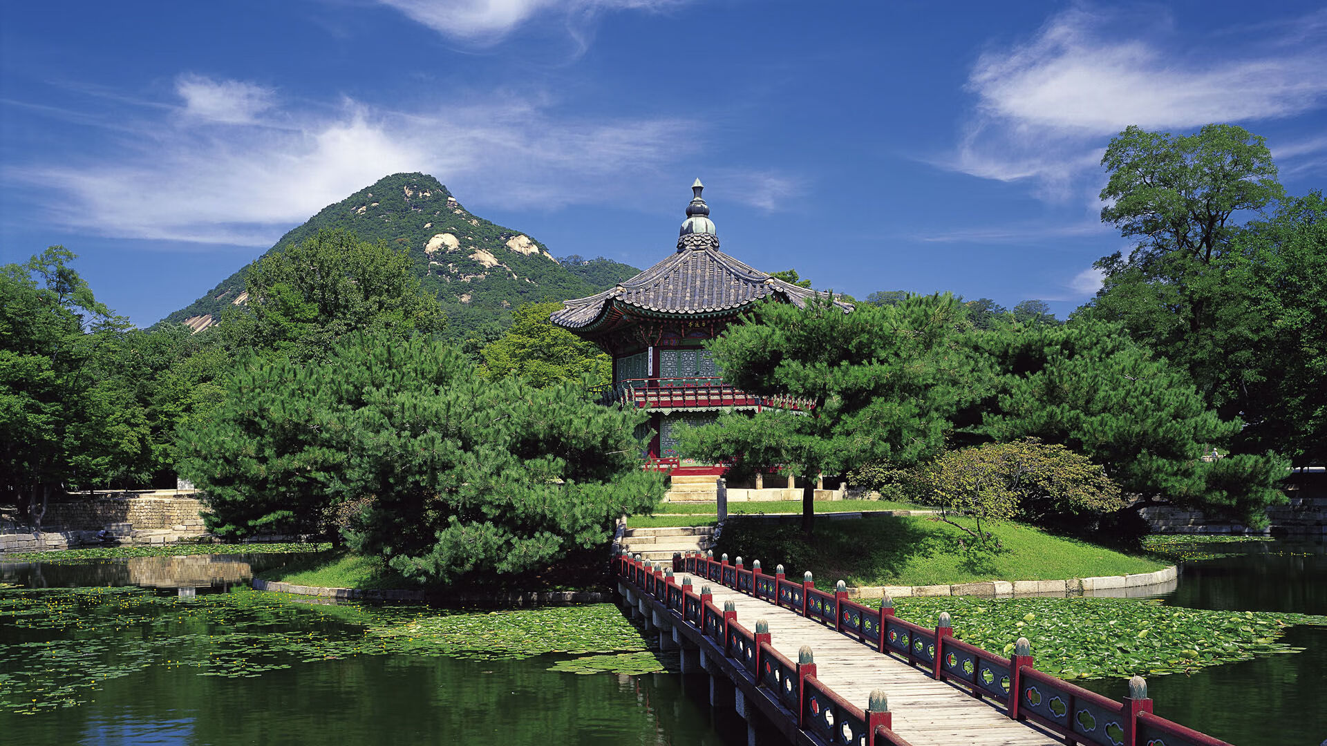 东北虎咆哮！辽宁队全面压制步行者，福克斯一剑封喉铸就关键先生美誉