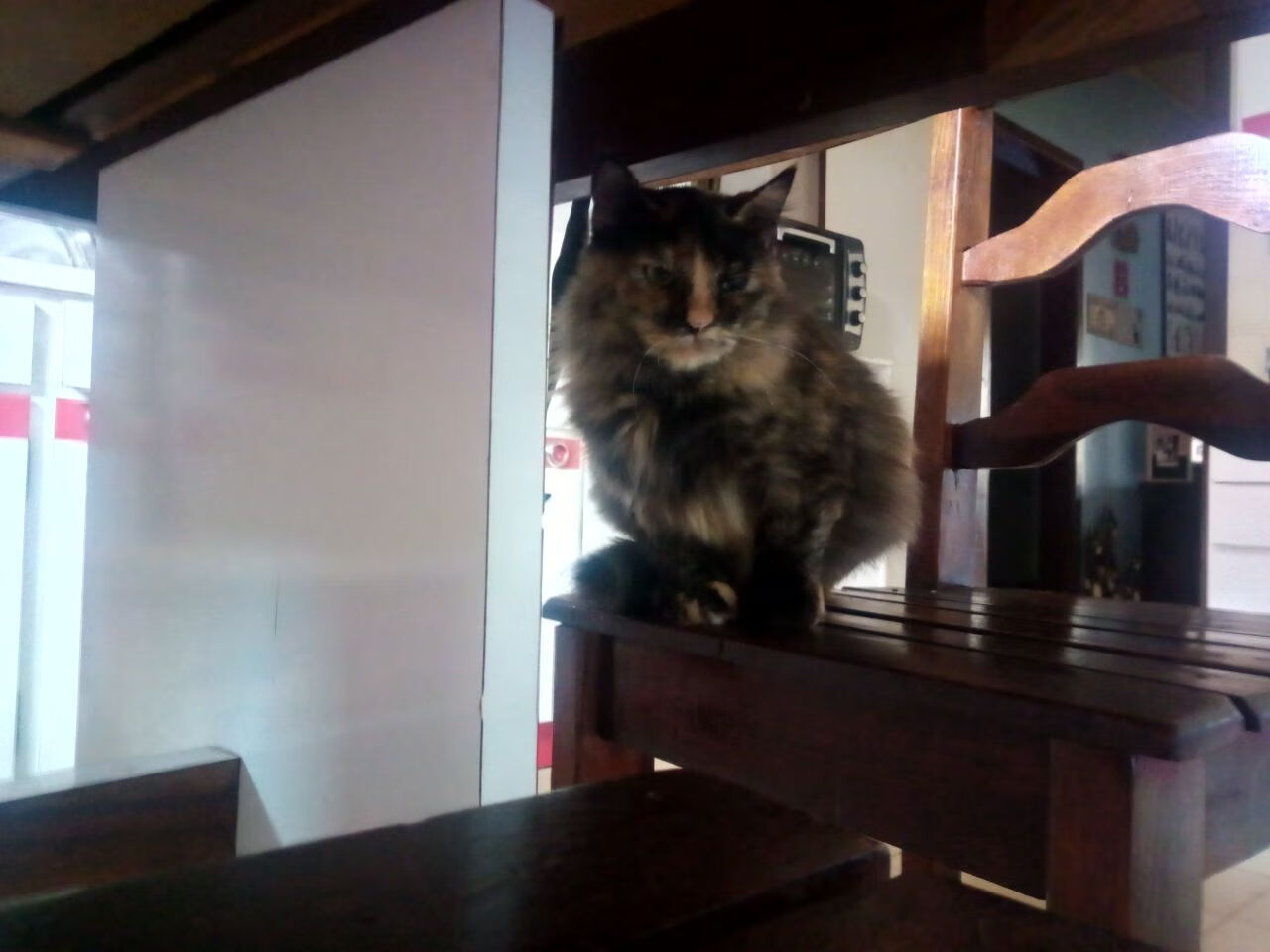 压力之下，有人如火山喷发有人似冰雪消融