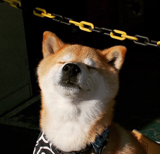 新王与旧神，当沙漠风暴掠过伊比利亚