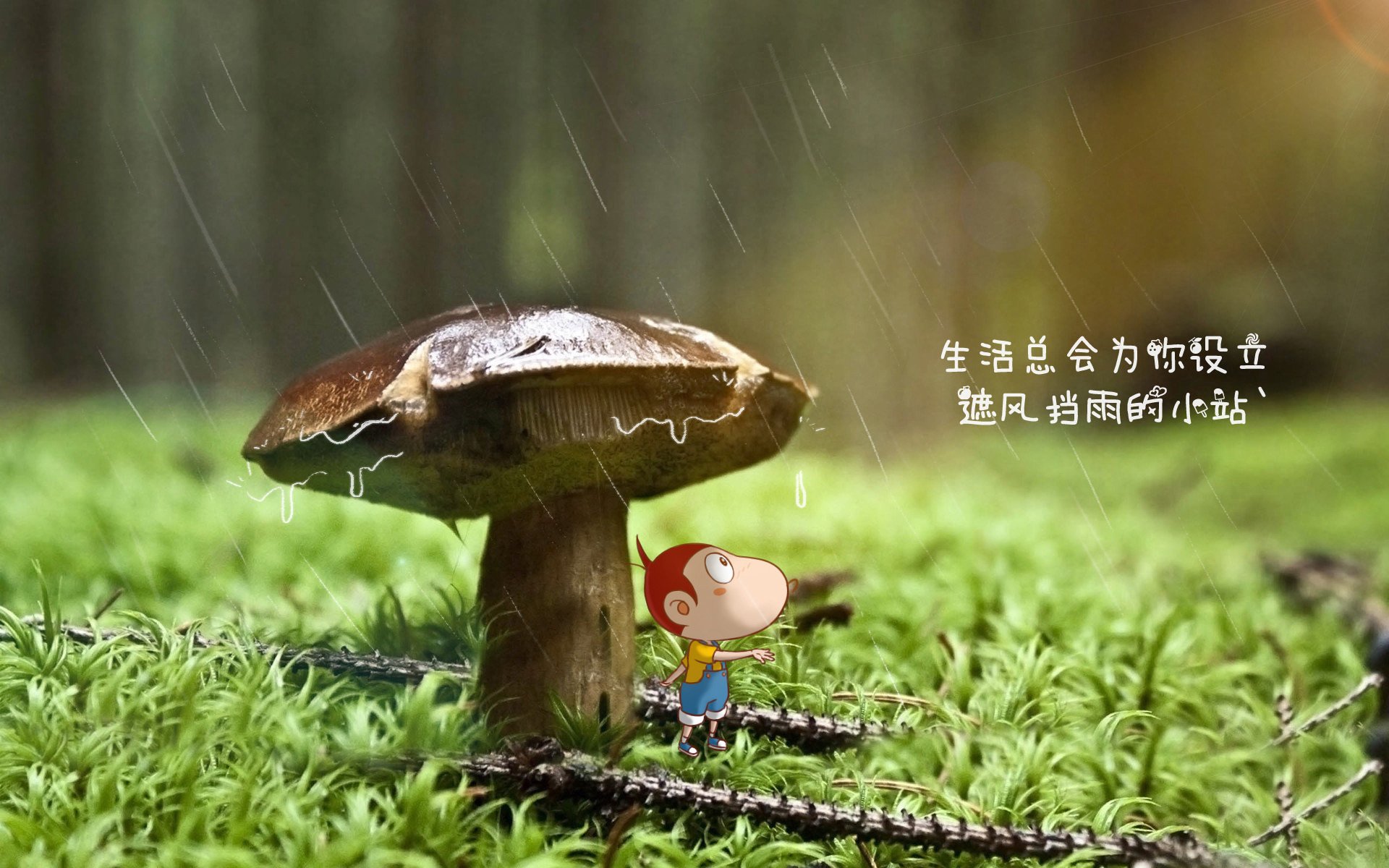 冰原烈火,阿方索·戴维斯引领芬兰在世界杯关键积分战中险胜加纳,控球统治力奠定胜利基石