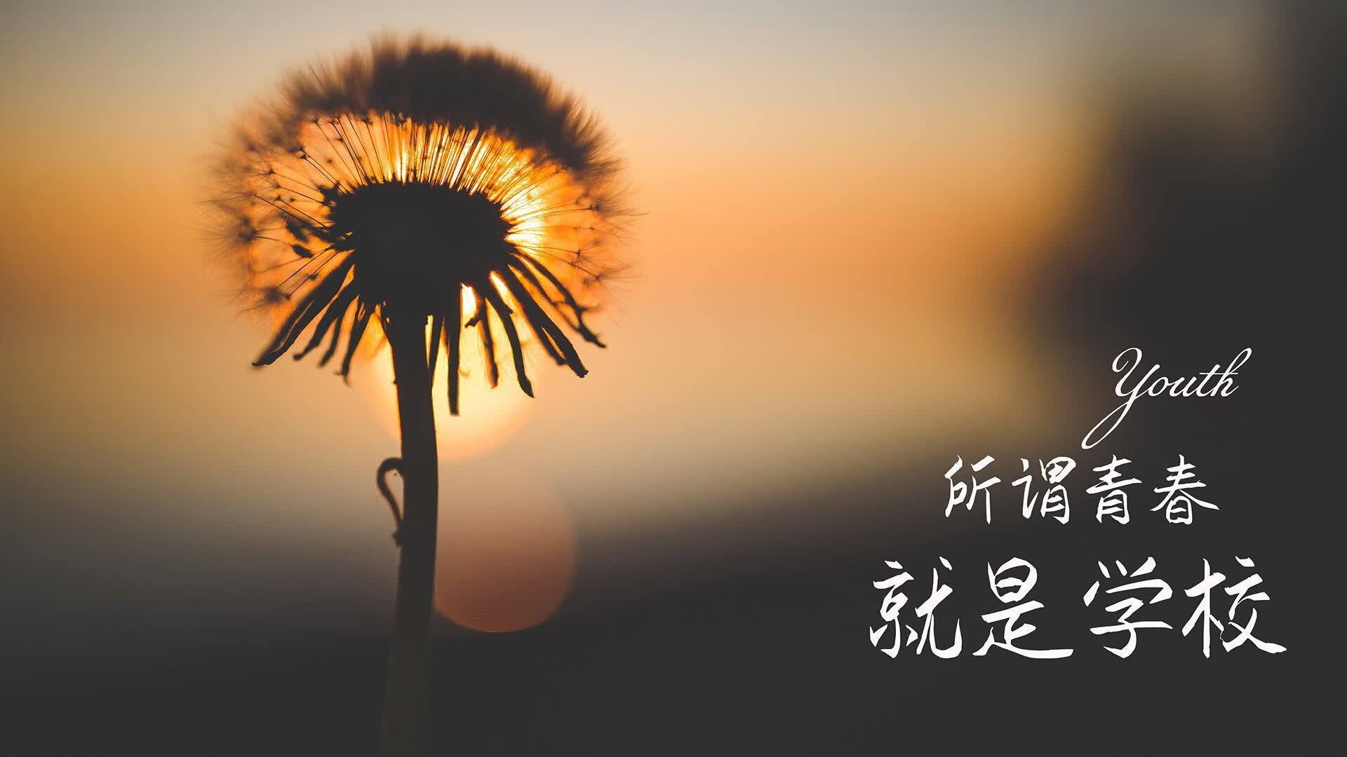 沙漠与山鹰的较量，2026世界杯A组生死战，哥伦比亚力克摩洛哥，罗德里戈独舞成焦点